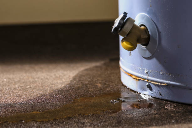 Best Basement water damage restoration  in Rmel Valley Village, CA