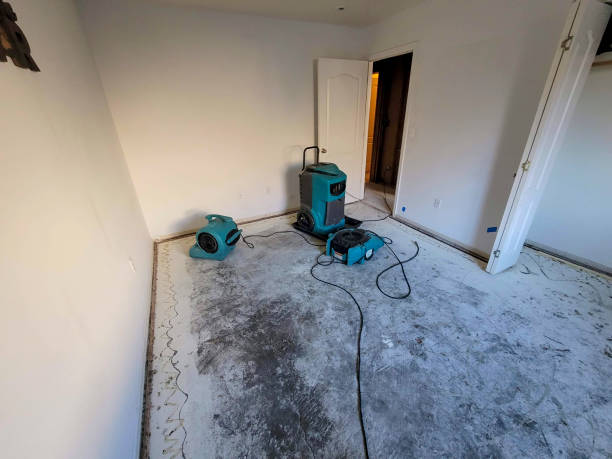 Best Carpet water damage restoration  in Rmel Valley Village, CA