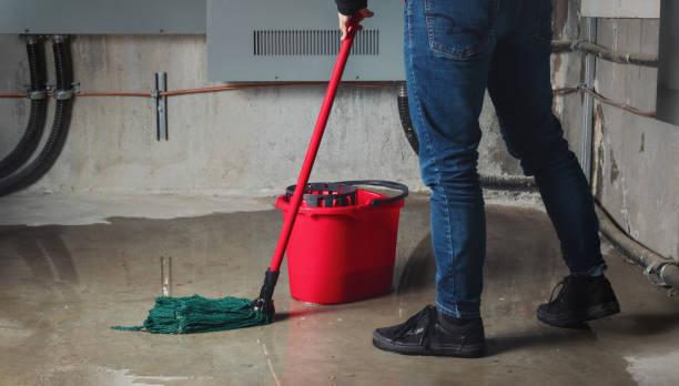 Best Water damage restoration near me  in Rmel Valley Village, CA