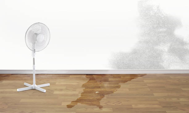 Best Flooded house restoration  in Rmel Valley Village, CA