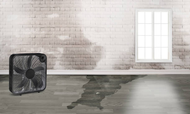 Carmel Valley Village, CA Water damage restoration Company
