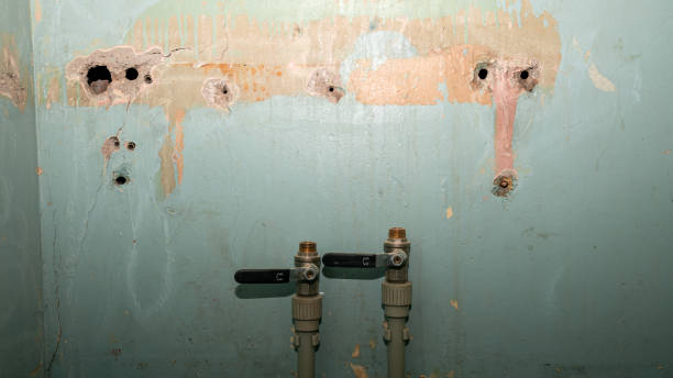 Best Water damage cleanup near me  in Rmel Valley Village, CA