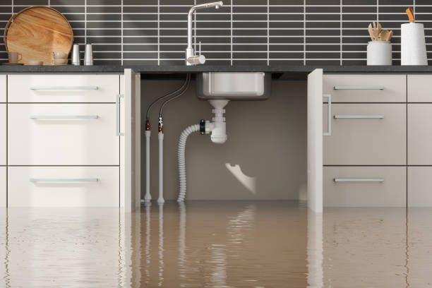 Best Commercial water damage restoration  in Rmel Valley Village, CA