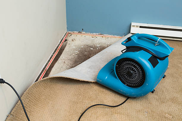 Best Professional water damage repair  in Rmel Valley Village, CA