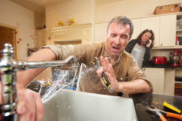 Best Professional water damage repair  in Rmel Valley Village, CA